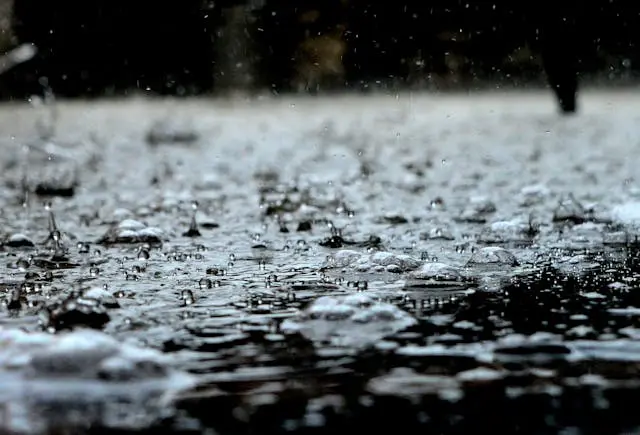 Dehradun Monsoon: भारी बारिश, देहरादून के लिए गवर्नमेंट एडवाइजरी और जीवन पर असर