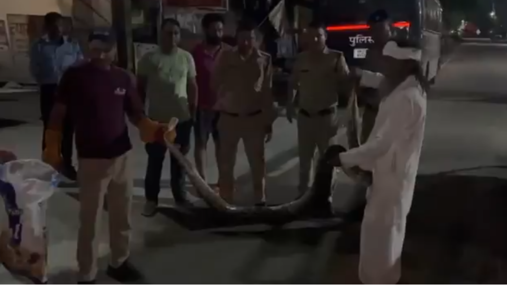 HARIDWAR: हरिद्वार में पुलिस वैन में घुसा अजगर, मचा हड़कंप